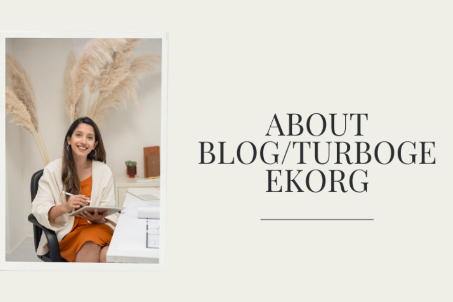 about blog/turbogeekorg